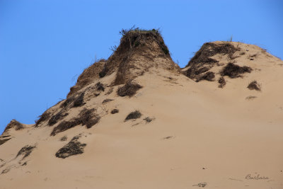 Dunes