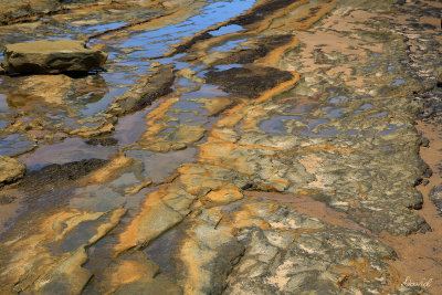 Rock Reef Powlett River 