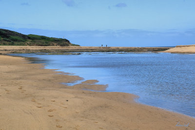 Powlett River