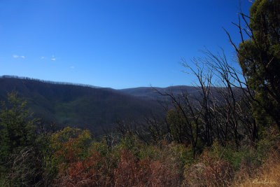 Nicholl Lookout - Marysville