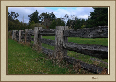Old fence Healesville