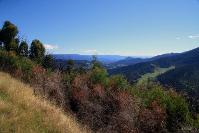 Nicholl Lookout - Marysville