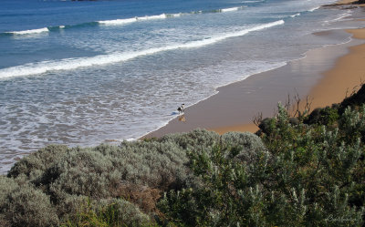 Torquay Surf Beach