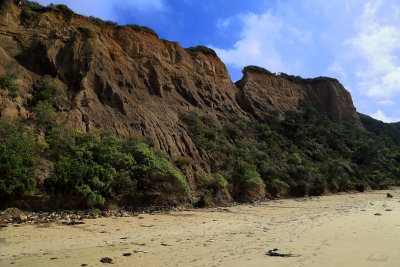 Point Addis - Cliff Face