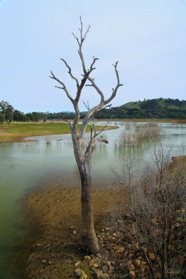 Brankeet Inlet Bonnie Doon