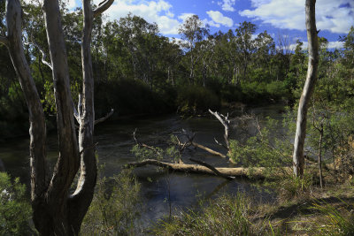 Goulburn River