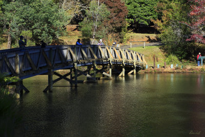 Emerald Lake Park