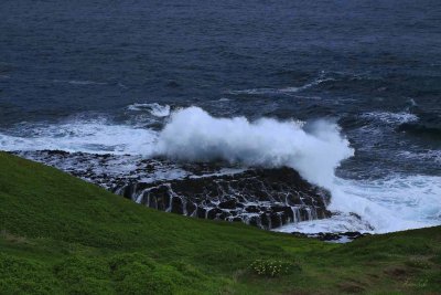Coastal Basalt Rock