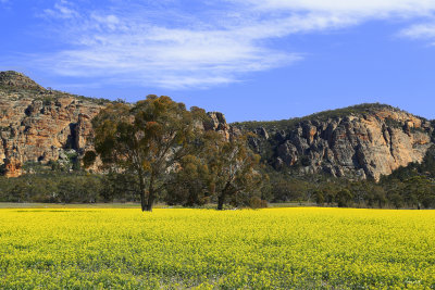 Mount Arapiles