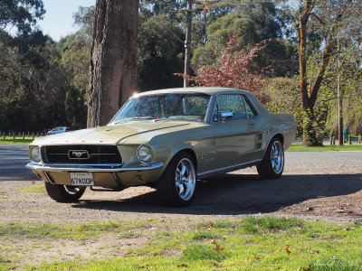 Ford Mustang 1967 Coupe
