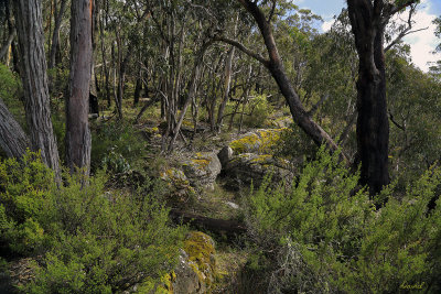 Grampians National Park