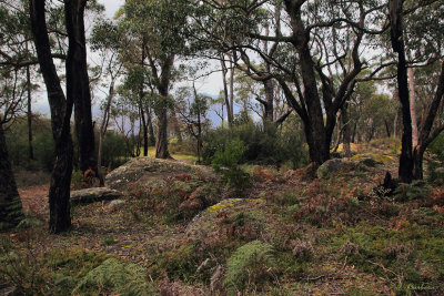 Grampians National Park