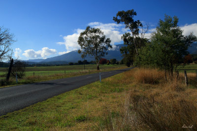  Road to Cathedral Range