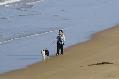 Bancoora Beach 