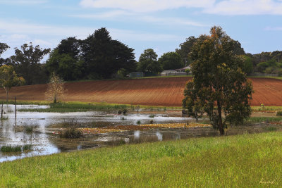 Small lake on a private property