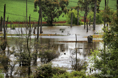 Small lake on a private property