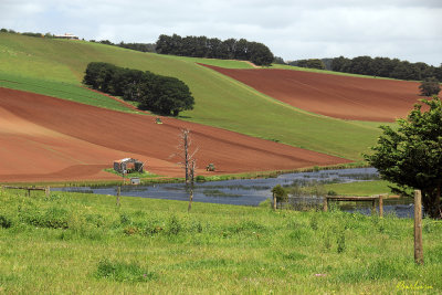 Local farming property