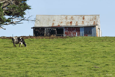 Gippsland