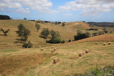 Korumburra Countryside