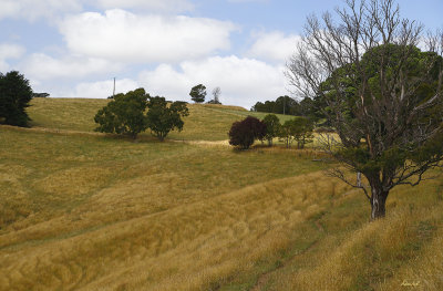 Korumburra Countryside