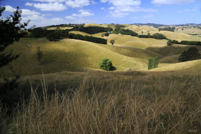 Korumburra Country