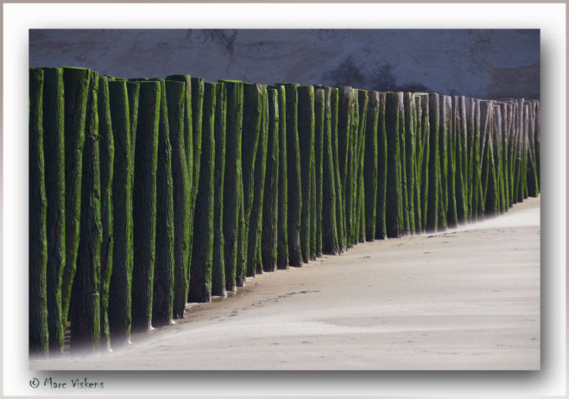 sur la plage de Wissant  -  Pas de Calais