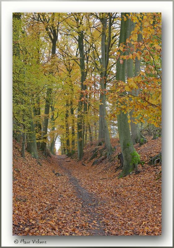 Heverlee Zoete Waters