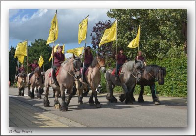50 jaar botermolen Keerbergen
