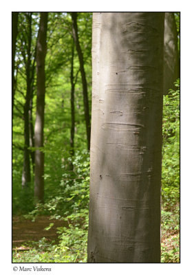 hiking near the Gempemolen Belgium