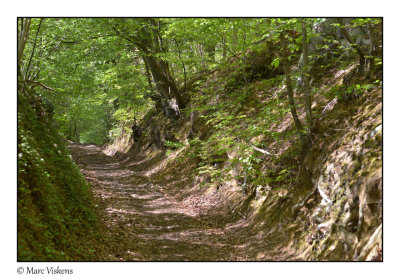 hiking near the Gempemolen