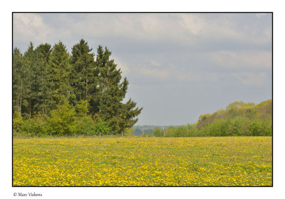 hiking around the Gempemolen