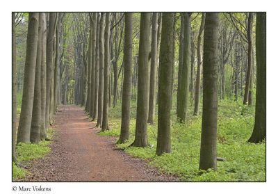 hiking around the Gempemolen