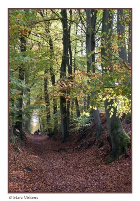 herstwandeling - autumn walk - ballade en automne