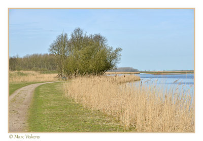 Oostvaardersplassen