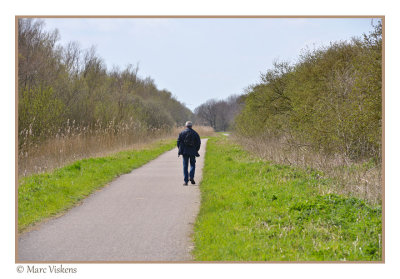 hiking near the Oostvaardersplassen 