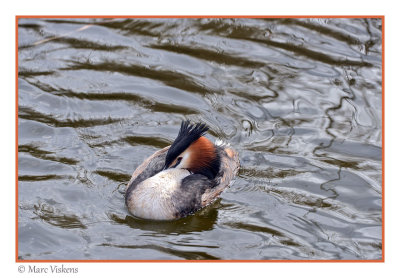 Oostvaardersplassen