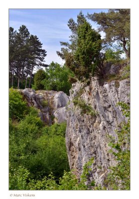Le Fondry des chiens