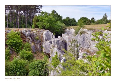 Le Fondry des chiens