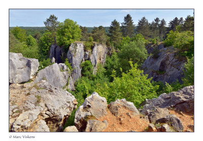 Le Fondry des Chiens