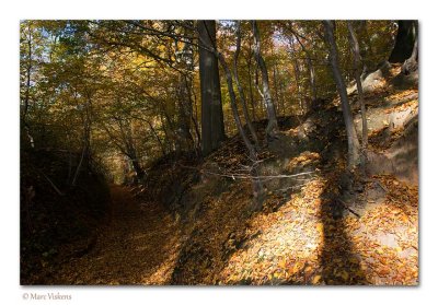Fall - Automne - Herfst nabij de Gempemolen