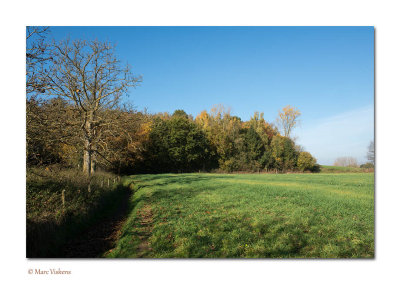 wandeling in de nabijheid van de Gempemolen