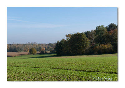 hike near the Gempemolen: zoektocht