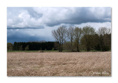 wandeling in Meerhout aan de Watermolen