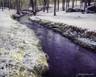 February 2014- Small Stream in Winter Light