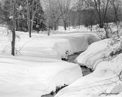 February 2015-Loudoun Stream in Winter