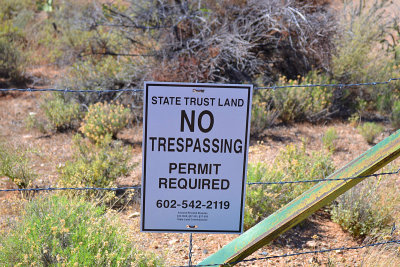 State Trust.jpg
