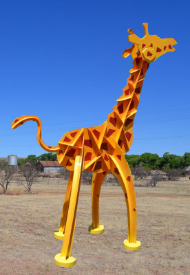 Tucson 2013
