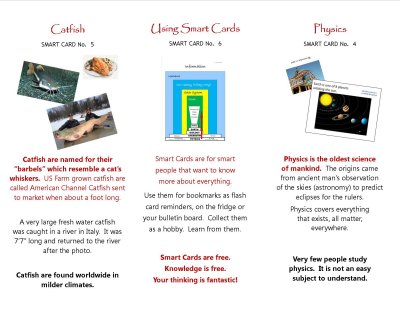 Smart Cards 4-6.jpg