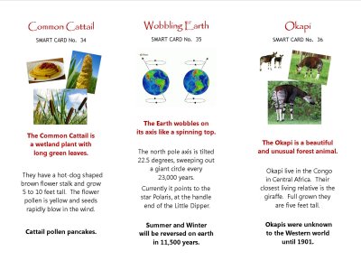 Smart Cards 34-36.jpg