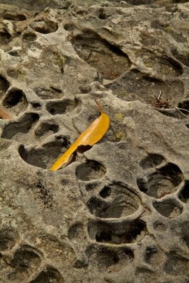 Sandstone rock weathering